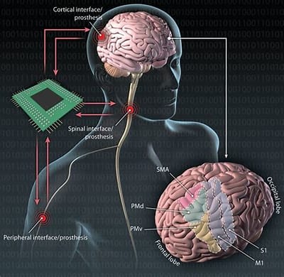 Computational Neuroscience